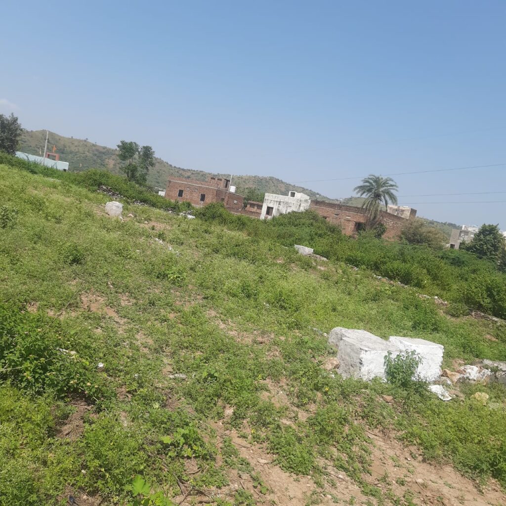 whatsapp image 2025 08 29 at 12.44.51 pm